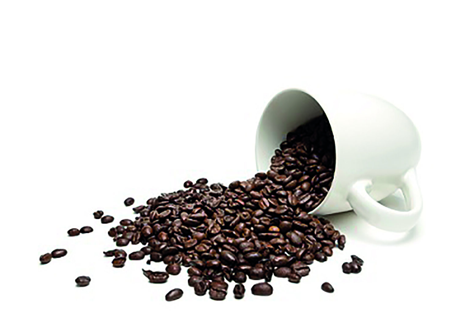 Caffè Nero - Lifestyle Plus